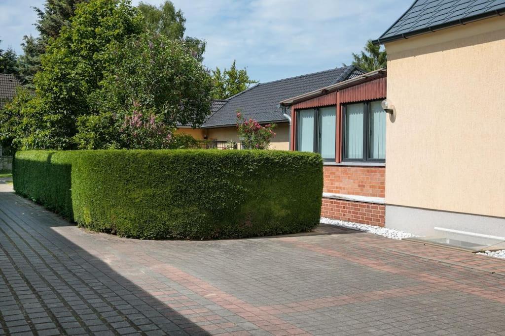 Charmantes Townhaus Mit Garten, W-Lan & Netflix Πότσδαμ Εξωτερικό φωτογραφία